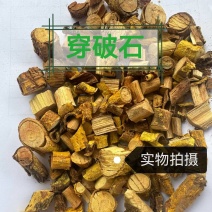 穿破石正宗中药材穿破石无硫***柘根川破石中药材