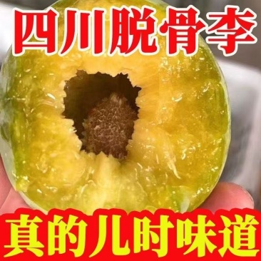 四川青脆脱骨李，五月脆等品种全，对接各大电商，一件代发