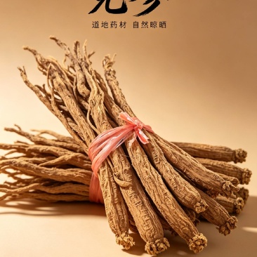 贵州威宁精品党参