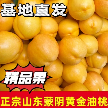 黄金油桃