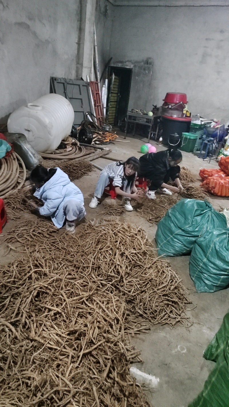 贵州威宁精品党参