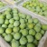 贵州四月李产地直销种植面积50亩产量大