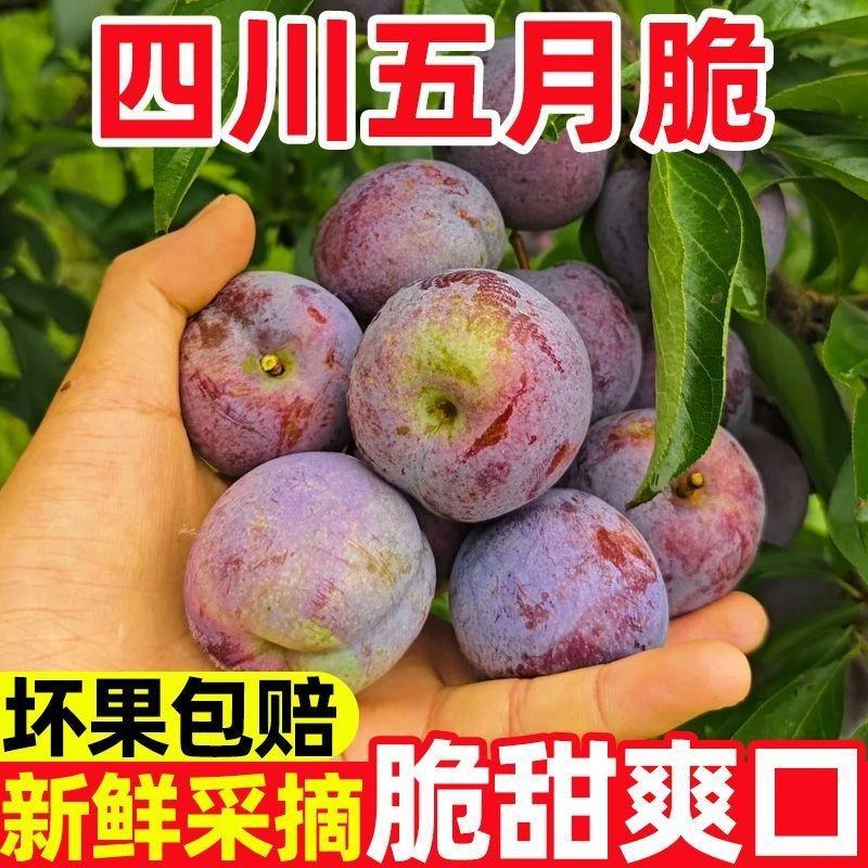 五月脆半边红李子，一手货源，对接各大电商，支持一件代发