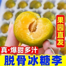 脱骨冰糖李五月脆等品种齐全，支持一件代发，诚信经营
