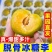 脱骨冰糖李五月脆等品种齐全，支持一件代发，诚信经营