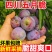 脱骨冰糖李五月脆等品种齐全，支持一件代发，诚信经营