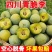 脱骨冰糖李五月脆等品种齐全，支持一件代发，诚信经营