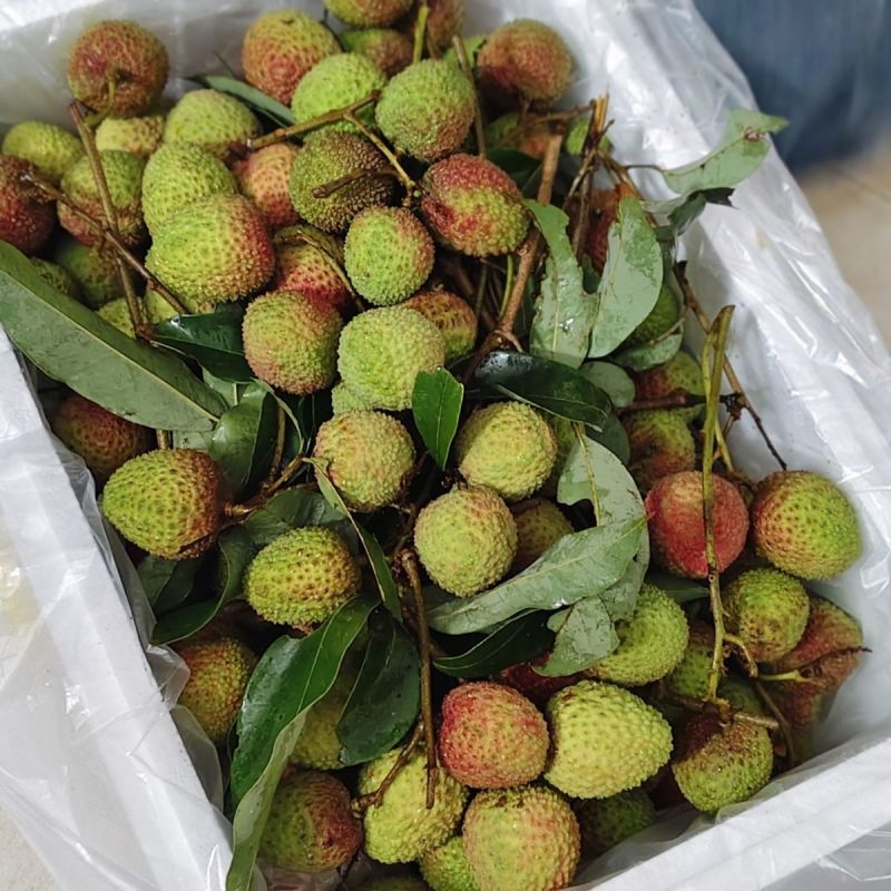 妃子笑荔枝大量供应，对接各大电商团购等，可一件代发，诚信