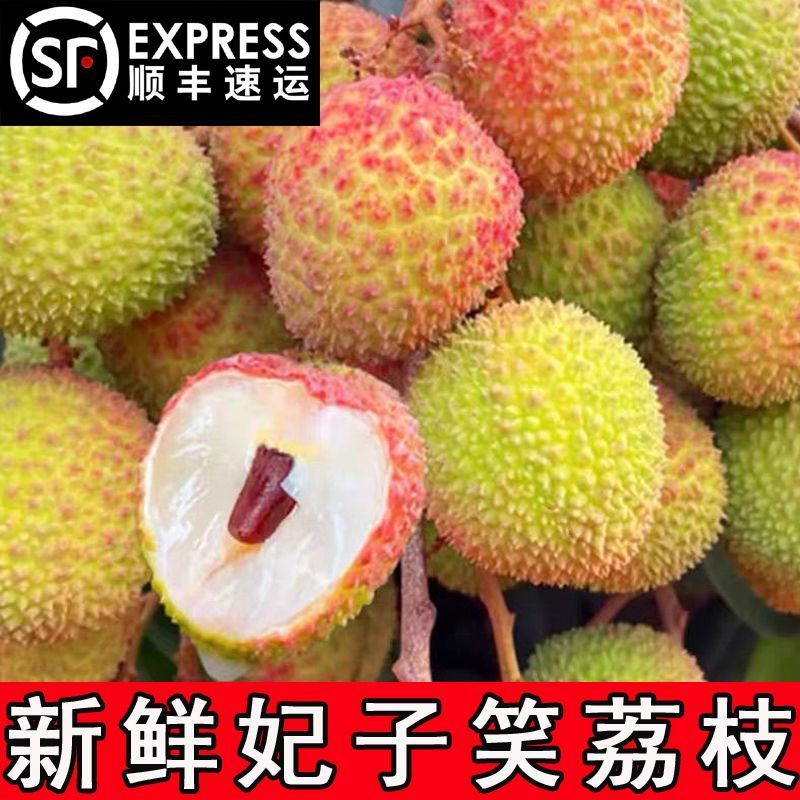 精品妃子笑荔枝，产地直发，可对接各大电商平台，一件代发