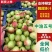 云南中油5号，中油五号，中油油桃，万亩桃园以上，供应量充