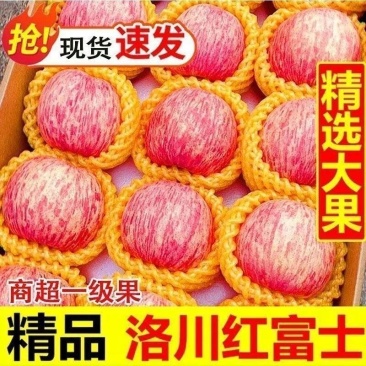 精品红富士苹果产地直发新鲜采摘苹果批发
