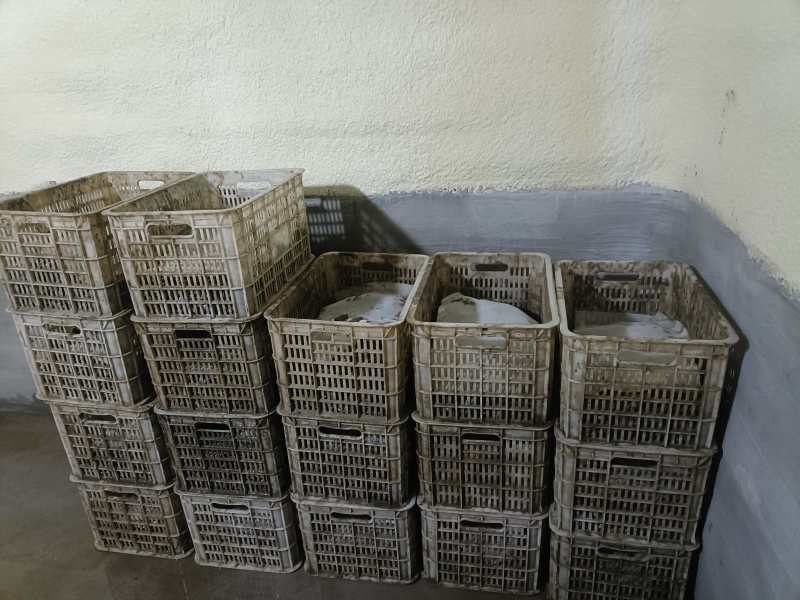 小人仙，全规格大量发货。