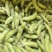 新鲜翠绿宝毛豆徽阜南基地直发荚绿粒饱鲜甜软糯