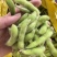 新鲜翠绿宝毛豆徽阜南基地直发荚绿粒饱鲜甜软糯