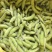 新鲜翠绿宝毛豆徽阜南基地直发荚绿粒饱鲜甜软糯