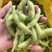 新鲜翠绿宝毛豆徽阜南基地直发荚绿粒饱鲜甜软糯