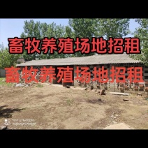 林地加养殖设备出租