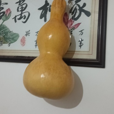 巨型葫芦