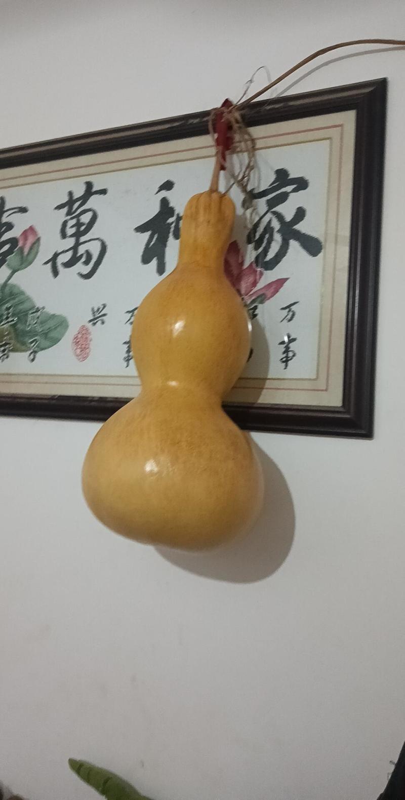 巨型葫芦