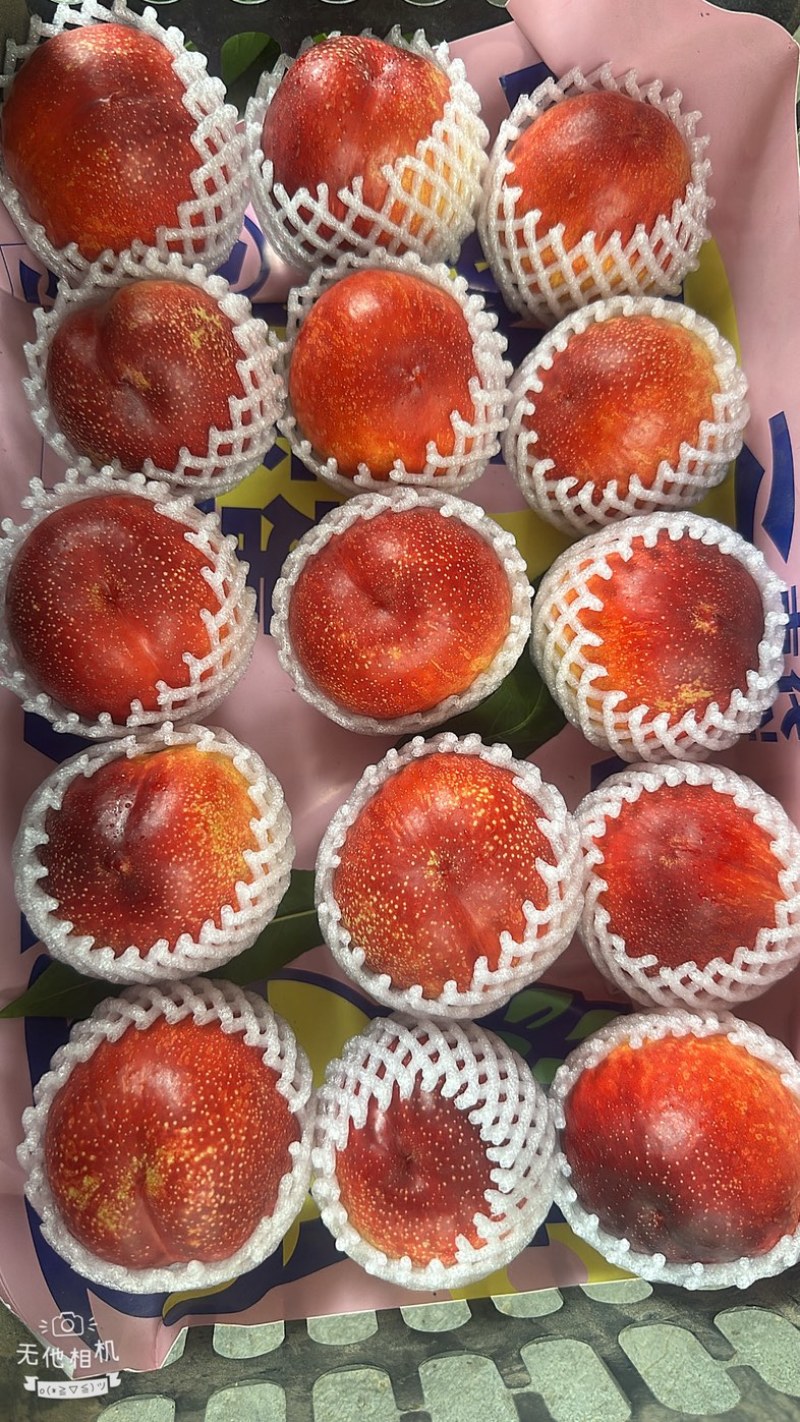 露天油桃金雷