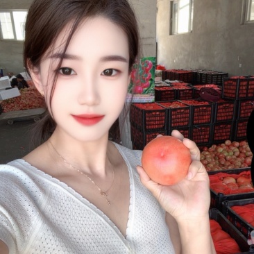 山东费县硬粉西红柿多多买菜美团等各大电商平台
