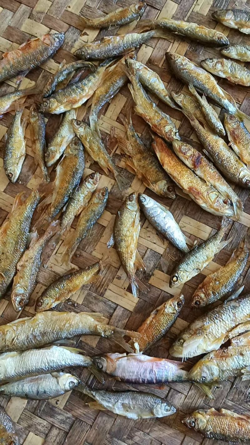 小鱼干包邮农家小鱼干欢迎选购