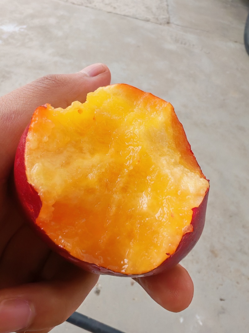中油