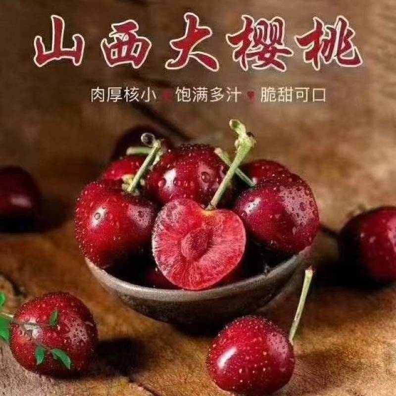 山西樱桃美早红灯早大果布鲁克斯樱桃品种齐全量大从优