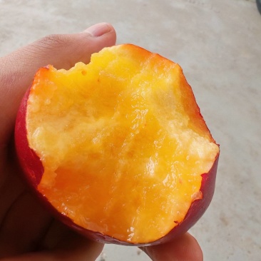 中油