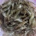 野生小河虾干货包邮欢迎选购小河虾干货