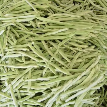 辽宁优质九粒白芸豆