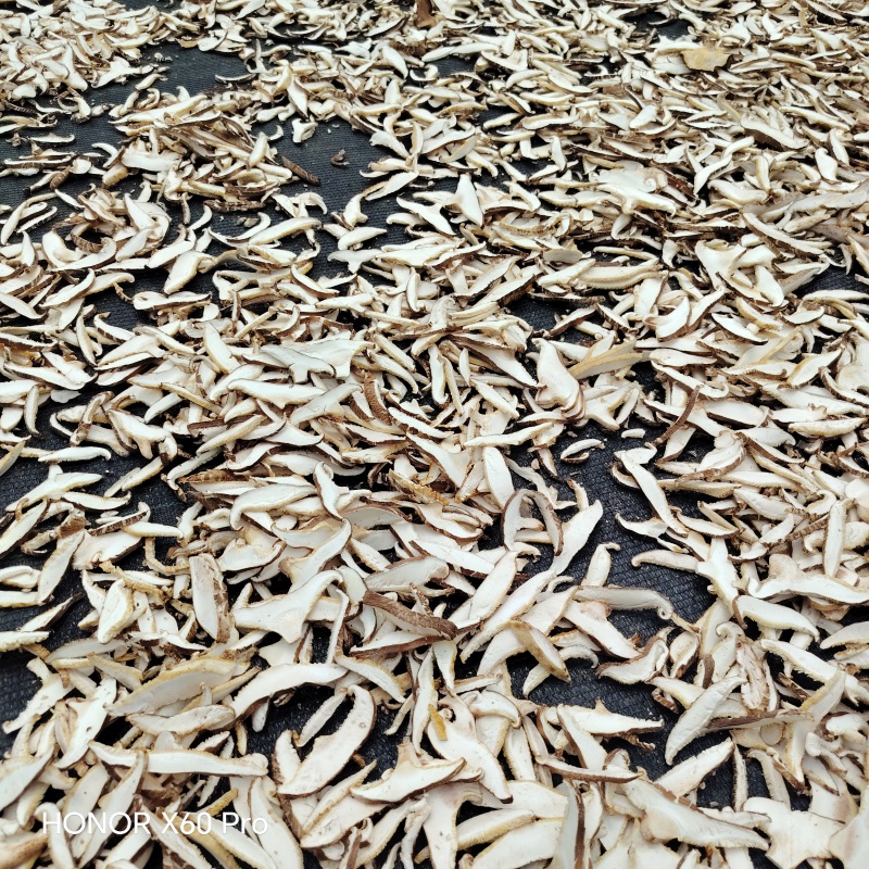 干香菇丝，颜色白，无碎片