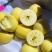 维纳斯黄金。精品。批发。