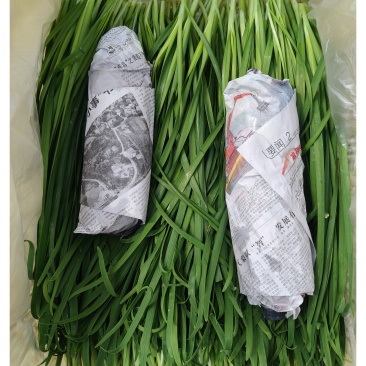 云南大叶韭菜，现采现收，价格稳定，可长期供货，支持物流！