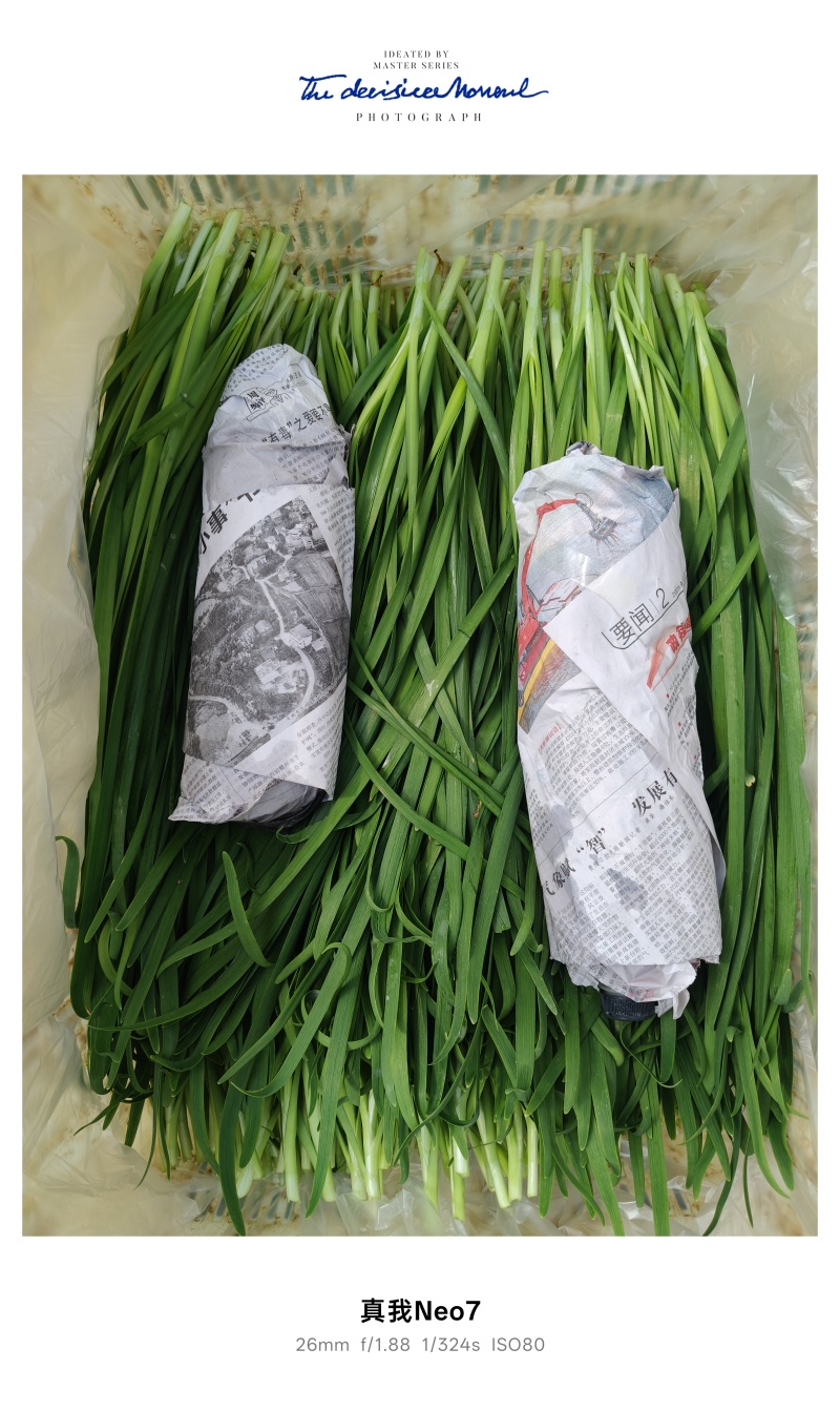 云南大叶韭菜，现采现收，价格稳定，可长期供货，支持物流！