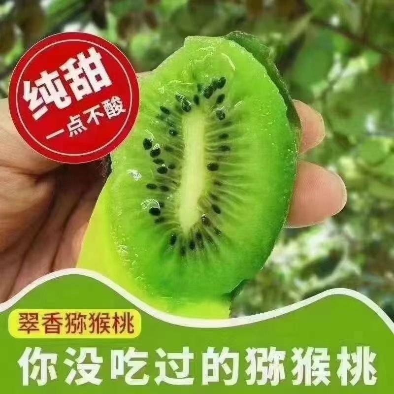 南阳翠香猕猴桃基地直发保质保量售后无忧一条龙服务