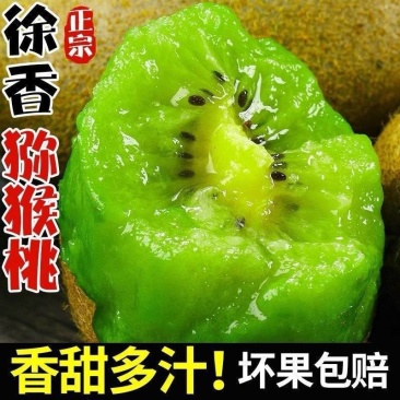 南阳徐香猕猴桃红心猕猴桃对接商超团购电商一条龙服务