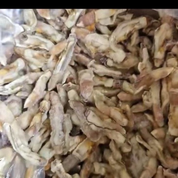 蛏子肉