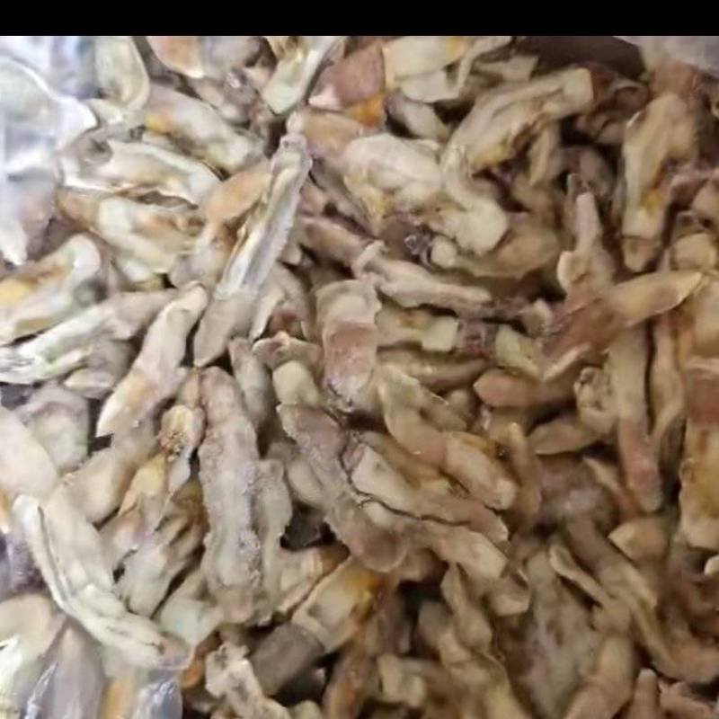 蛏子肉