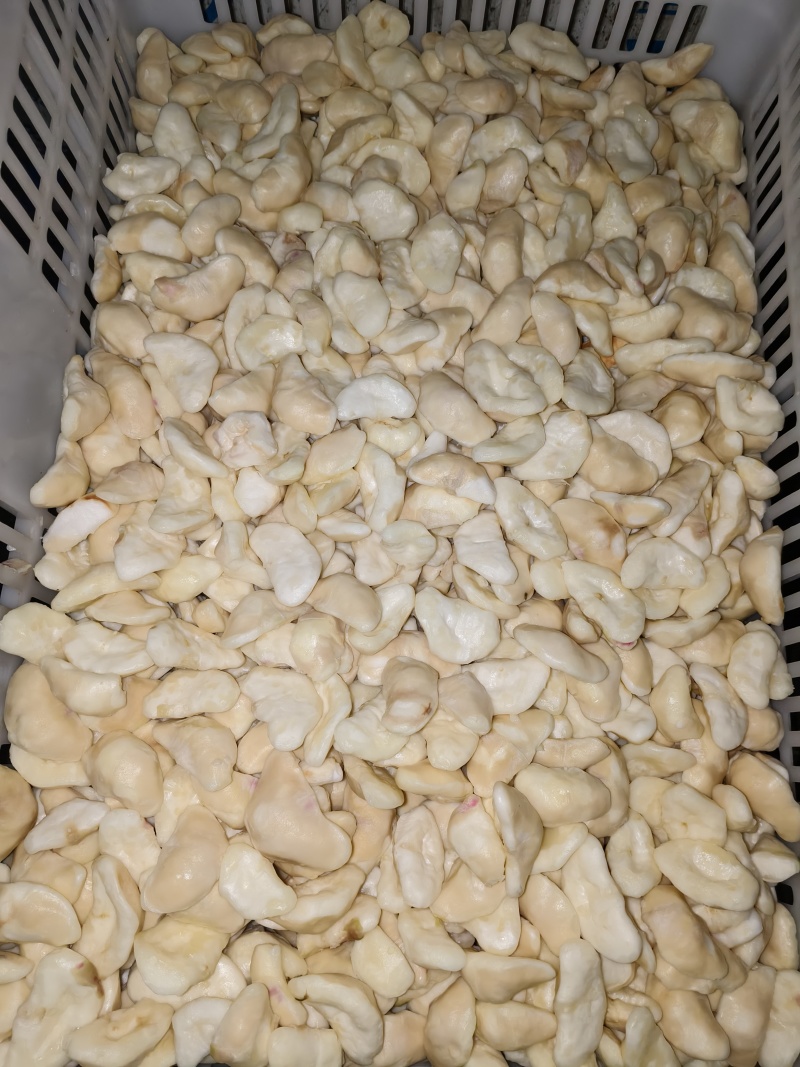嫩菱角米潮州金沙江水源活水菱角新鲜现剥质量上乘！