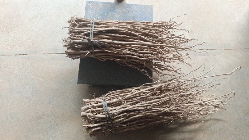 小叶千斤拔药材干货