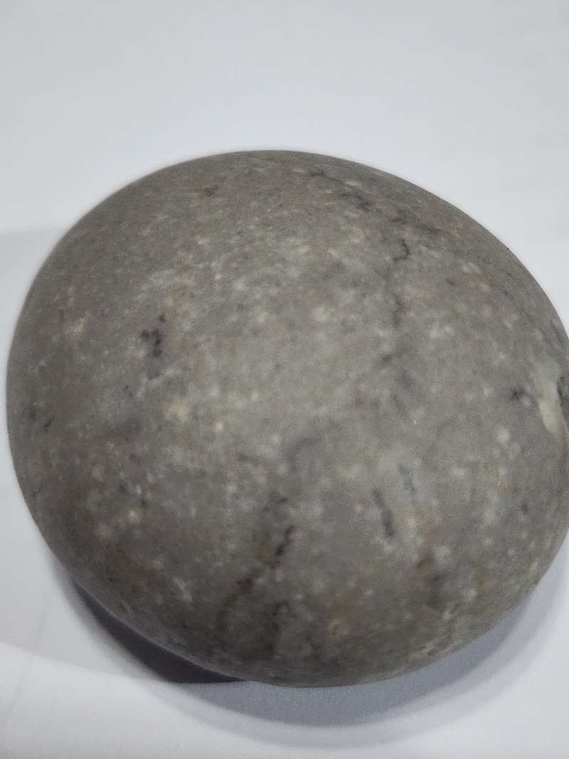 狗宝石1个，扁圆形，直径55mm，重约133.3克