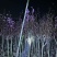 紫玉兰3至8分