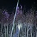 紫玉兰3至8分