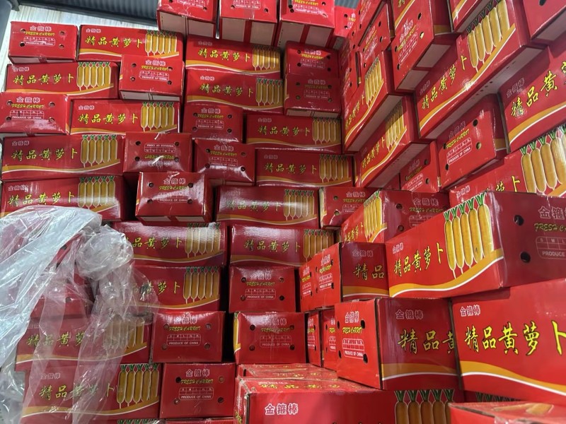 黄胡萝卜，水果黄胡萝卜新货，出口货，金品货