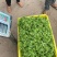 大糯花夜香花