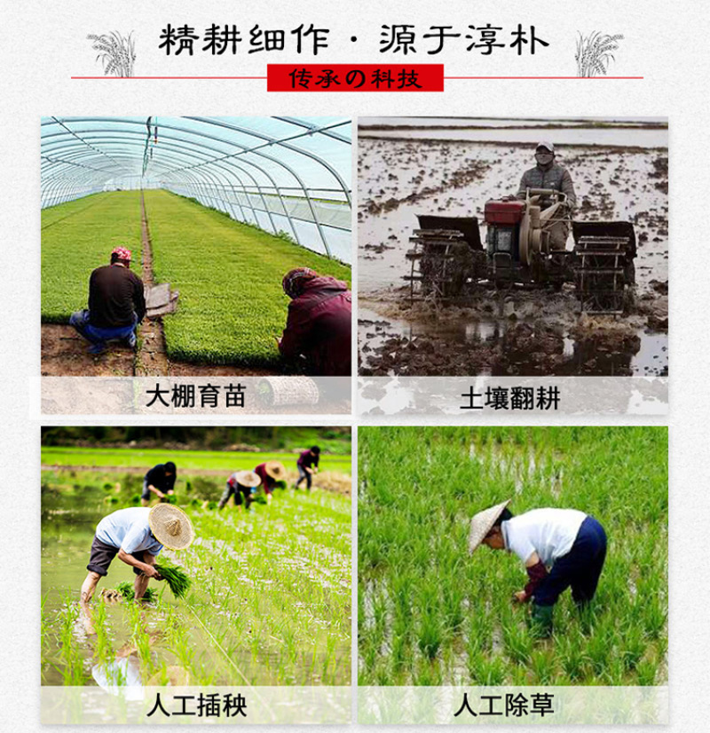 五常稻花香2号新米产地直发农家自产大米批发
