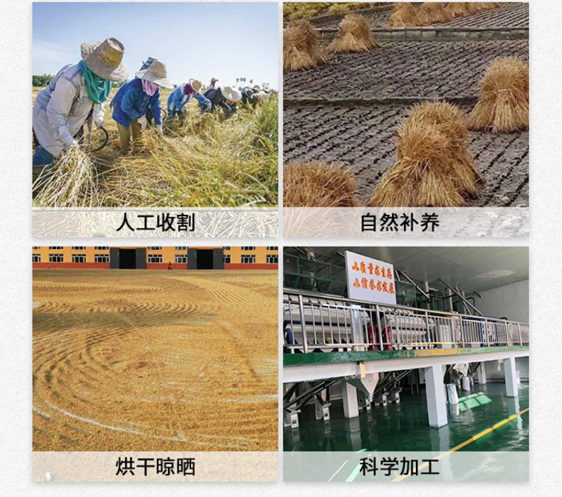五常稻花香2号新米产地直发农家自产大米批发