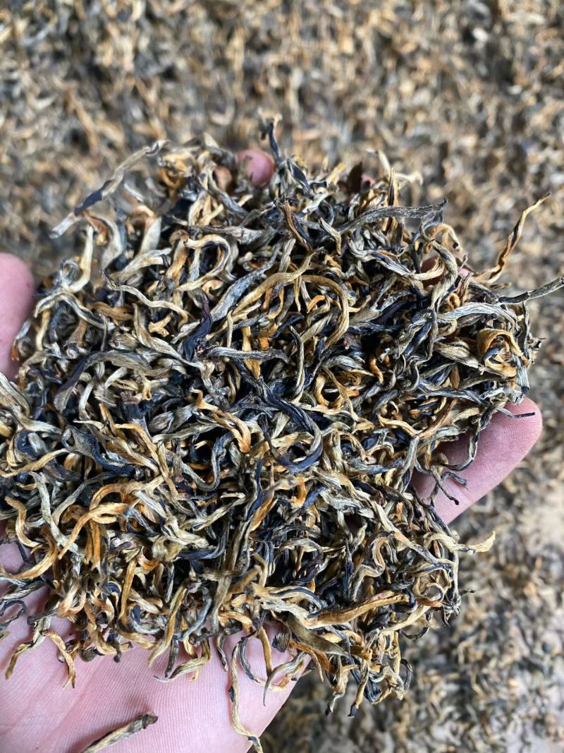 云南凤庆滇红茶