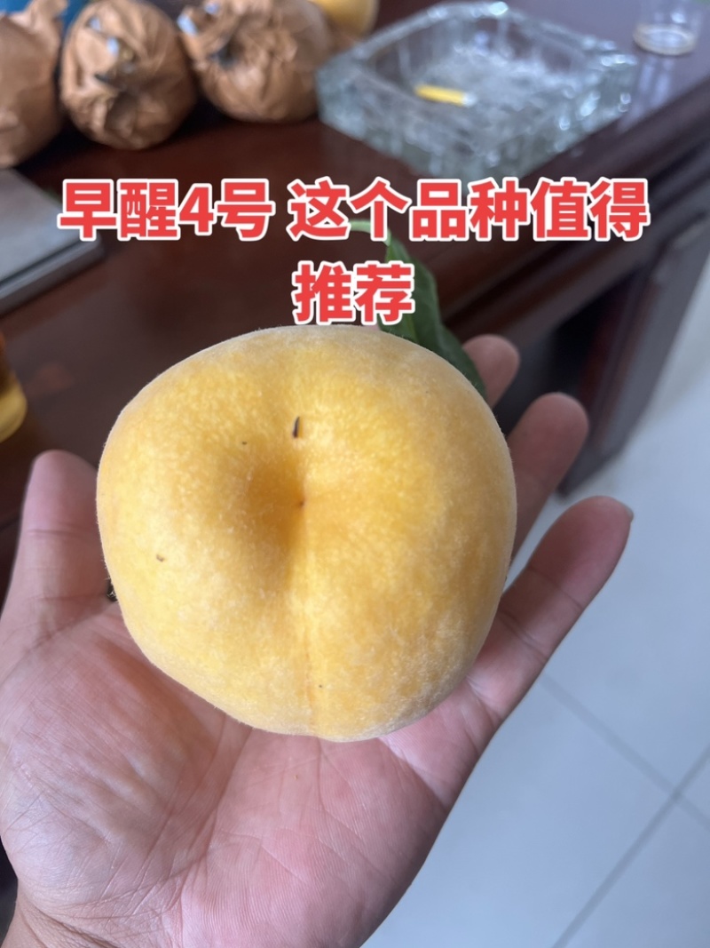 黄金蜜7号桃甜黄桃黄桃批发产地直供全国各地代发